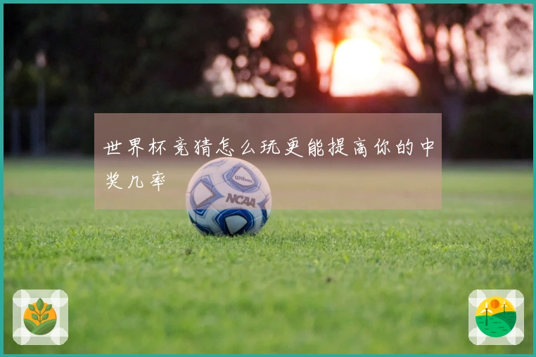 世界杯竞猜怎么玩更能提高你的中奖几率