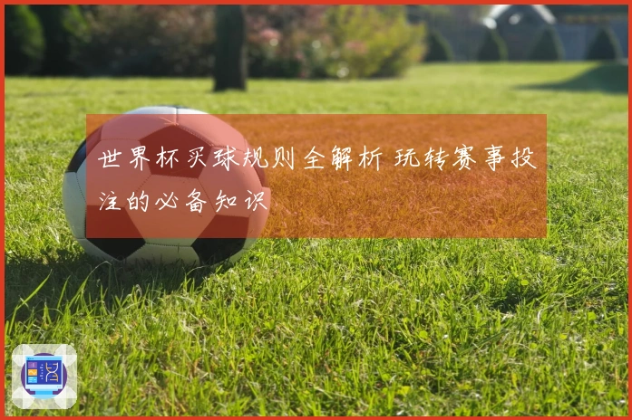 世界杯买球规则全解析 玩转赛事投注的必备知识