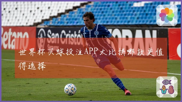 世界杯买球投注APP大比拼哪款更值得选择