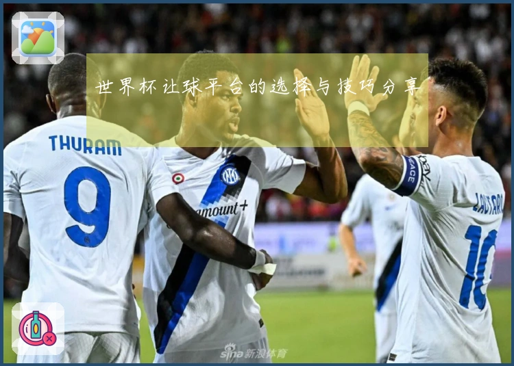 世界杯让球平台的选择与技巧分享