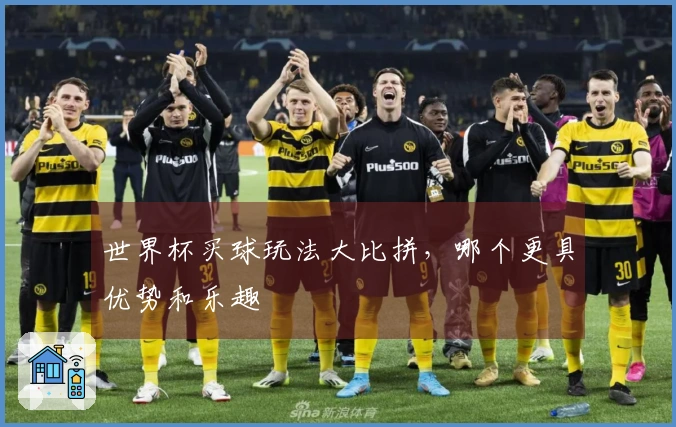世界杯买球玩法大比拼，哪个更具优势和乐趣