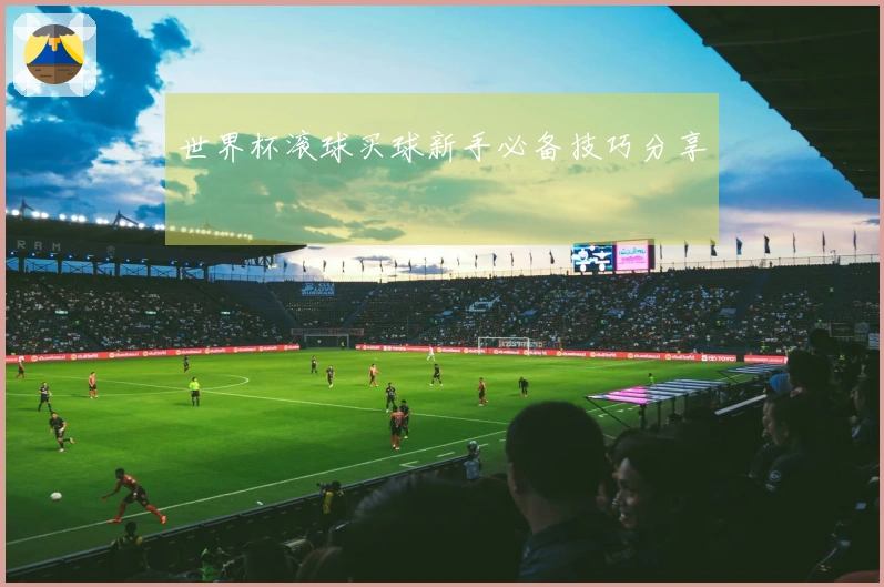 世界杯滚球买球新手必备技巧分享