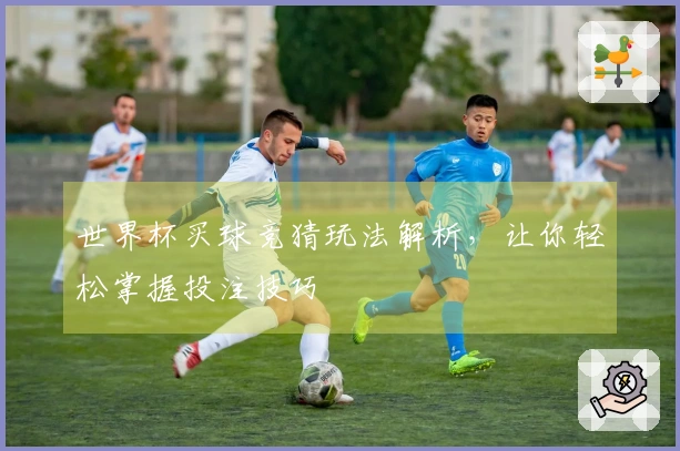 世界杯买球竞猜玩法解析，让你轻松掌握投注技巧
