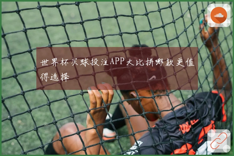 世界杯买球投注APP大比拼哪款更值得选择